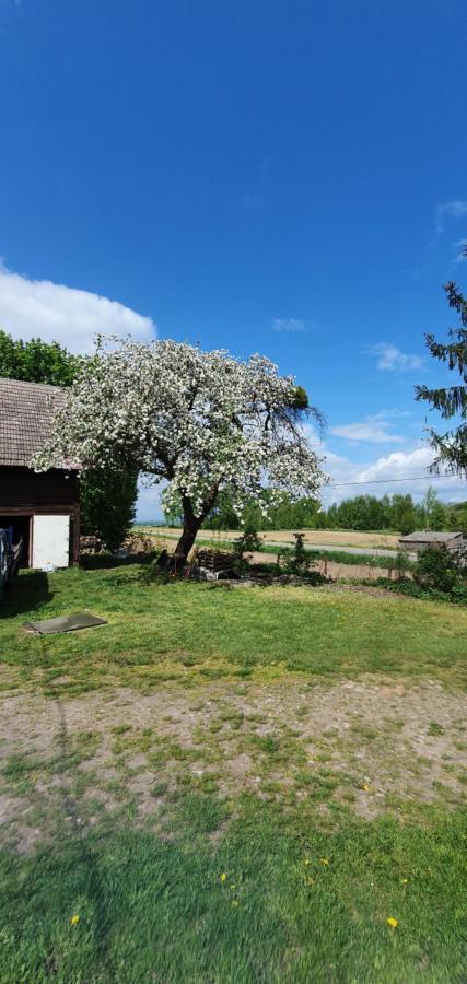 Mazurska Przystan Villa Dąbrówno Kültér fotó