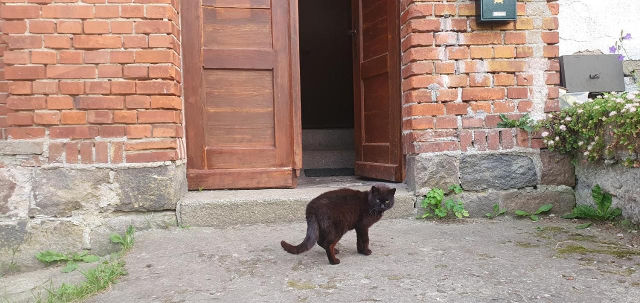 Mazurska Przystan Villa Dąbrówno Kültér fotó